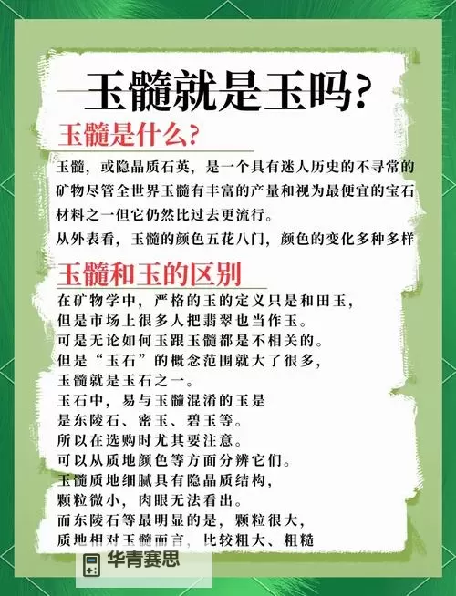 九阴真经玉髓怎么得:获取方法全解析图2