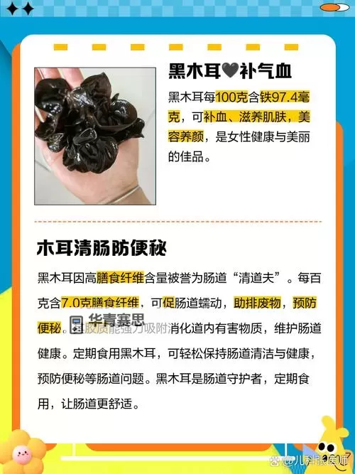 探索中国黑木耳网:优质黑木耳资源的全面介绍图1