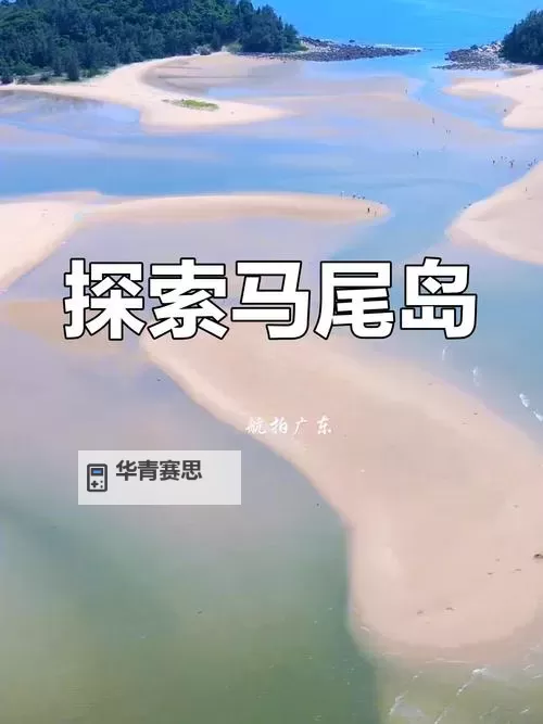 探索海角真实网站免费资源的最全指南图1