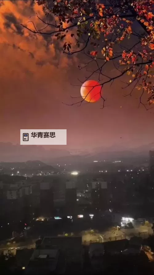 《本夜色在线免费观看:欣赏夜色之美的最佳平台推荐》图1