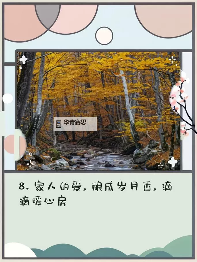 温暖岁月中的欢笑:青青草地上的五月婷婷爱图1