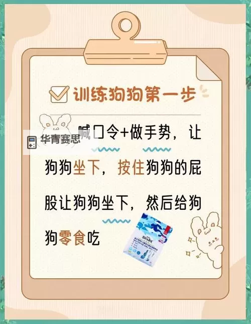 怎样引导狗狗进入自己:有效的方法与技巧分享图1