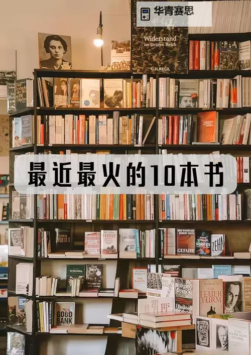 探索心灵之泉:纯净的增幅书带来成长的奇迹图1