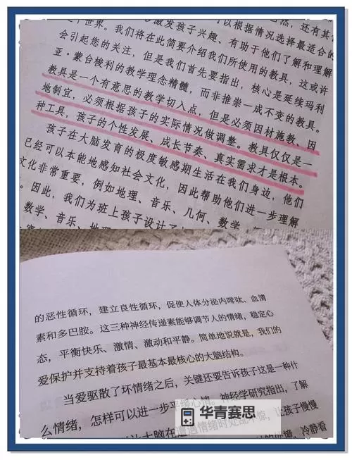 幼儿12到14视频3000片:丰富多彩的成长学习资源全收录图1