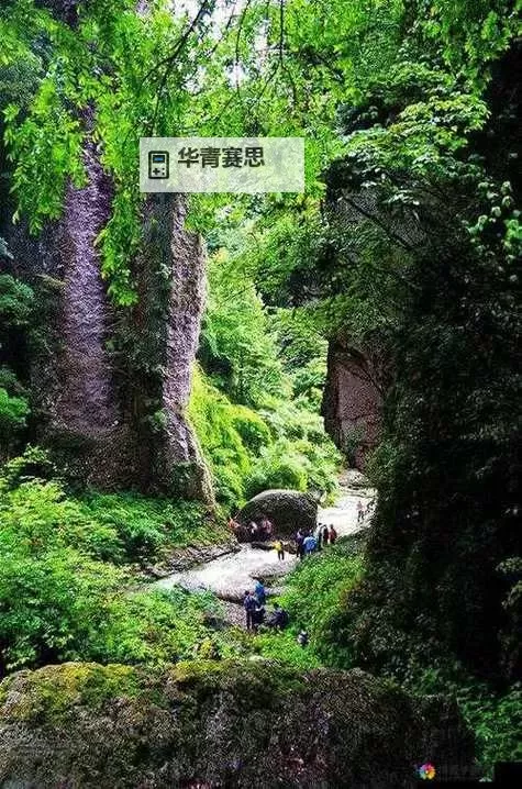 幽谷花径内的阻力突然减小,揭示隐藏的自然奇观图1