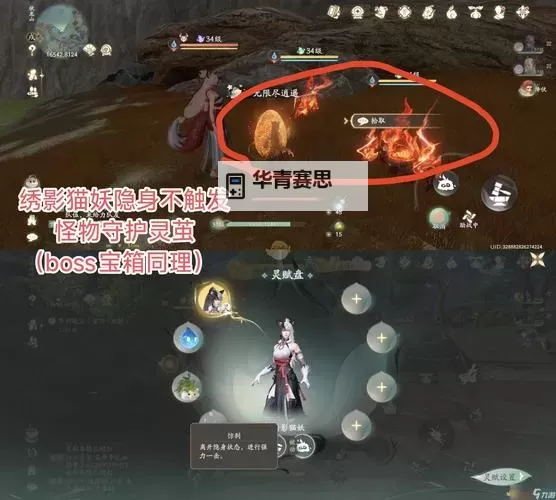 全灵金怎么加点相性指南:提升全灵金的最佳加点策略图1
