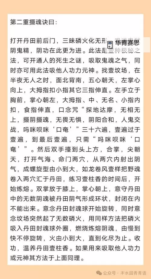 九阴真经九阴野草刷新时间详解与最佳采集时机图2