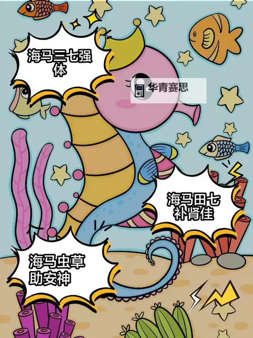 探秘赛尔号海马一样的奇幻生物世界图1