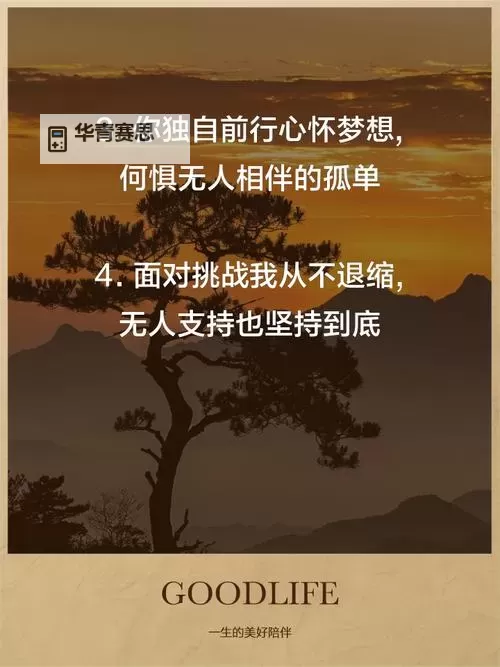 一个人的征途是什么意思：探索孤独中的成长与坚韧图1