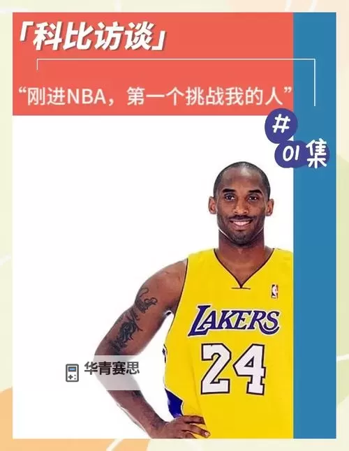 探秘wnba第一巨星:光辉背后的传奇与荣耀图1