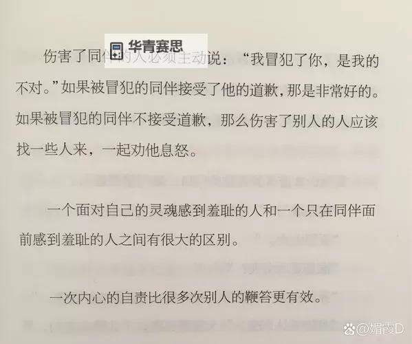 主人我错了请把它关掉好吗——一段关于理解与宽恕的故事图2