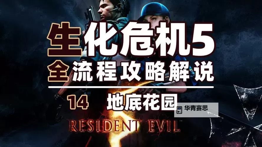 全面解析《生化危机5直装版》游戏特色与玩法攻略图2