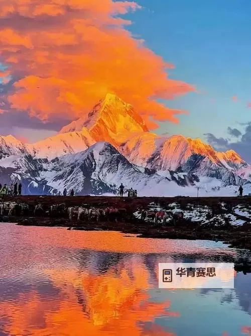 如何提升生活质量?天天好逼777为你提供实用攻略图1