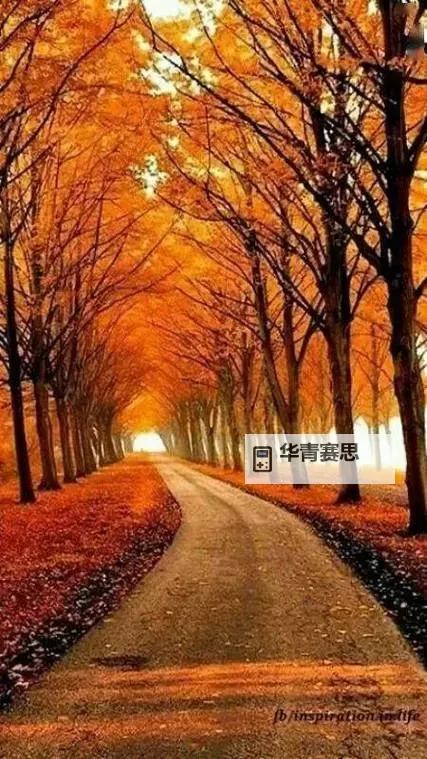 99r在线视频在线观看:免费在线观看最新高清资源图1