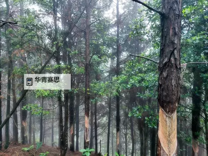 证监会吴清重磅发声:推动资本市场健康发展再提新要求图1