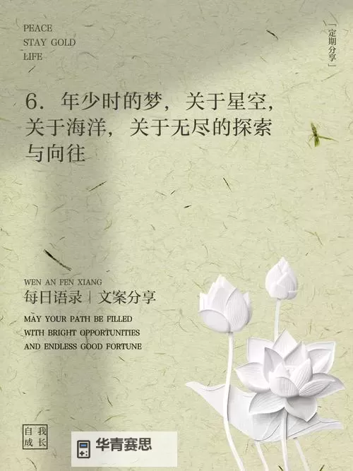 重回豆蔻年华:那些年少的梦与甜蜜时光图1