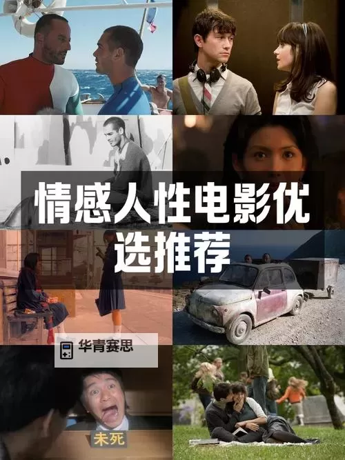 探索最新最全的影片资源:最好最新高清中文字幕推荐图1