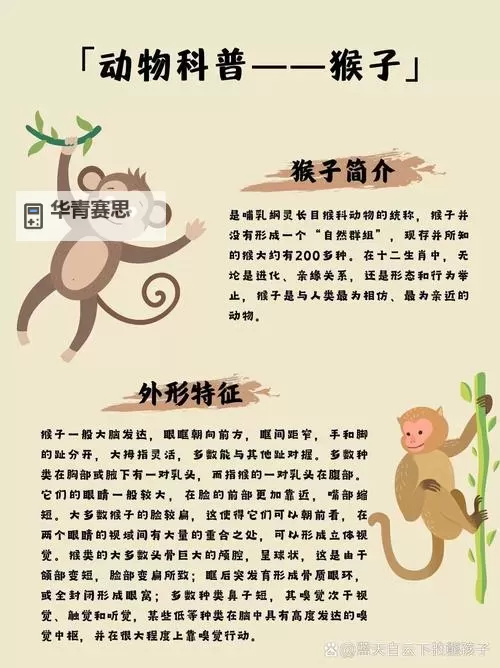 男生和女生一起生猴子:奇趣合作创造生命的趣味故事图2