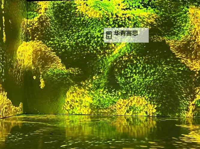 强烈的气息去哪里刷?掌握这些技巧轻松体验极致感官盛宴图1
