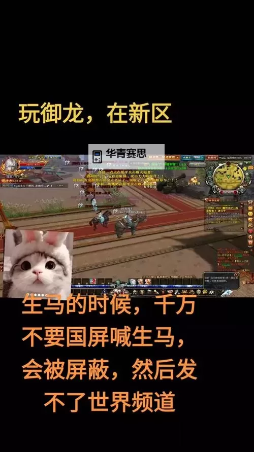 御龙在天60级马去哪练:提升战力的最佳地点推荐图1