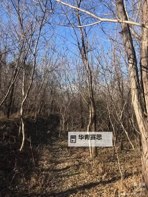 神武4打装备技巧与刷特技全攻略丨提升战力的实用秘籍图1