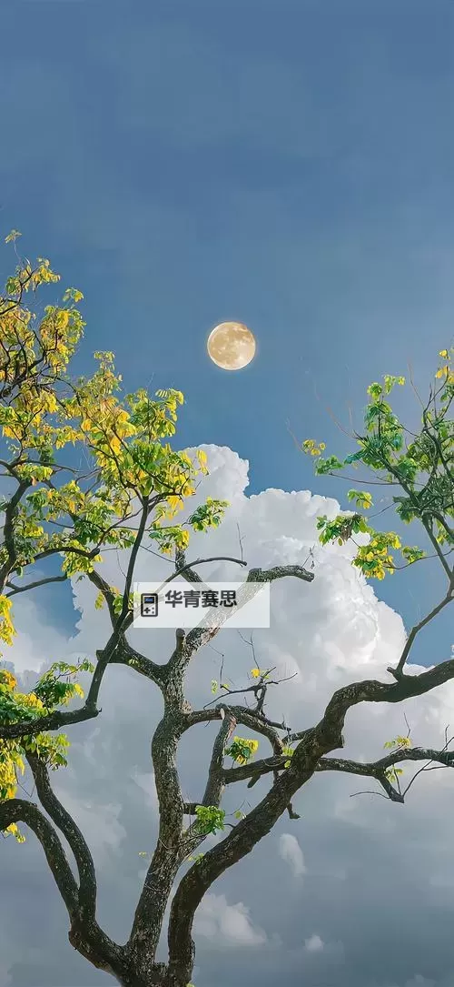 剑三掘墓人的信件怎么获得:详细攻略与指南图1
