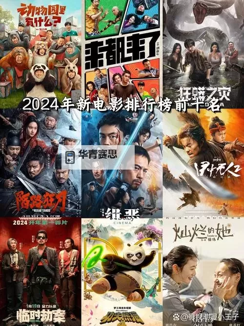 探索2024年最新电影网站推荐与排行榜图1