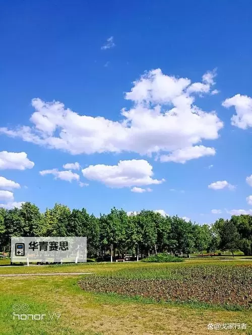 剑三掘墓人的信件怎么获得:详细攻略与指南图2
