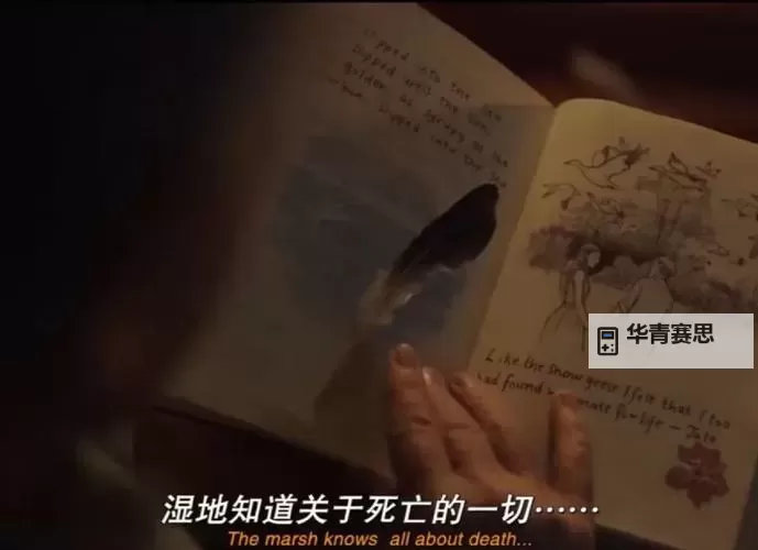 揭秘沼泽猎手2:深潜密林中的生死较量图1