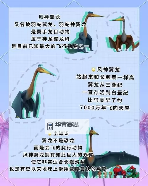 第二张翼神龙怎么获得:详细攻略与实用技巧图2