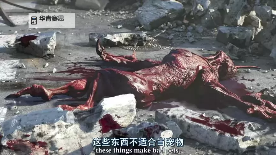 生化危机诅咒在线看：全景解读与在线观看指南图1