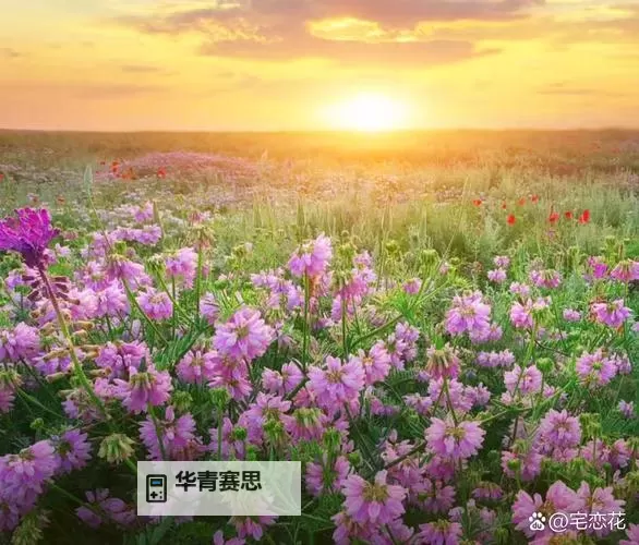 呦呦色:色彩的诗意与生活的韵味图2