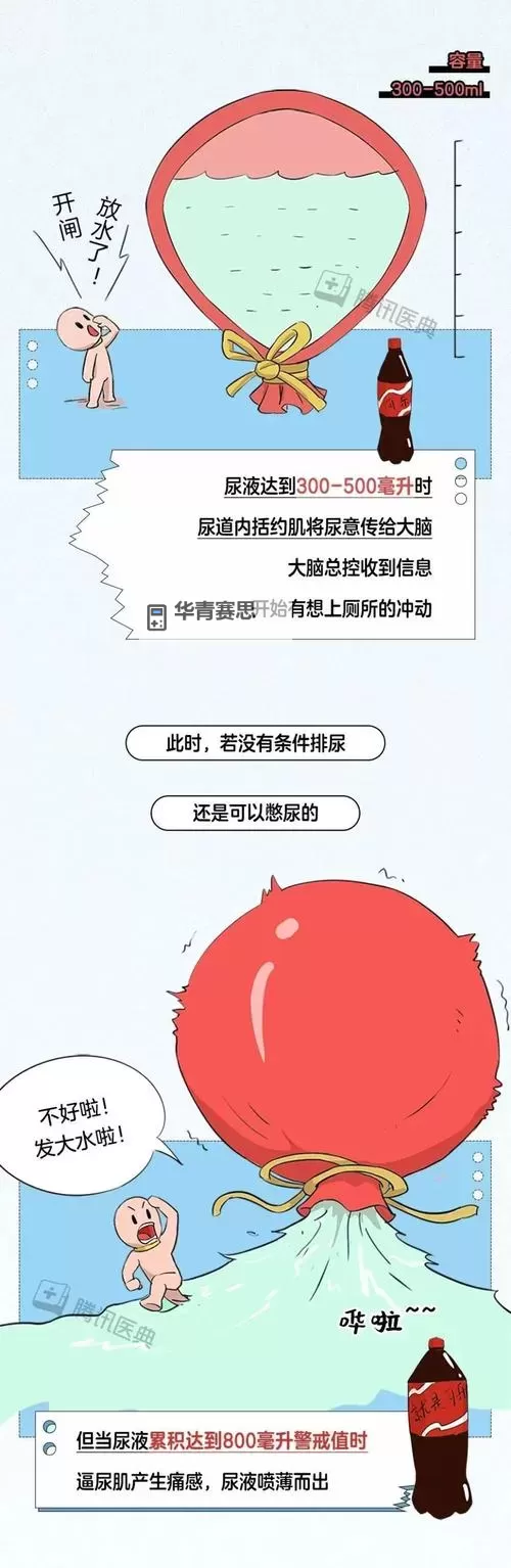主仆憋尿规定：一天只尿一次的特殊安排引发热议图1