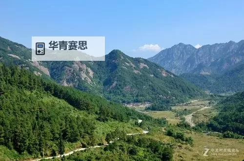 探索日本一级网站:最新资讯与热门推荐图2