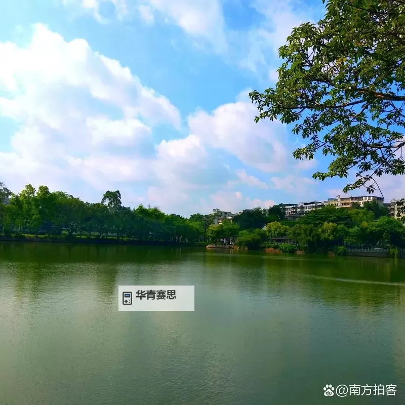 探索网络世界：天天看888，体验久久爱123456的无限精彩图1