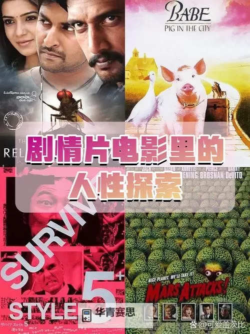 探索精彩大片:成本大片35分钟免费畅享无限娱乐图1