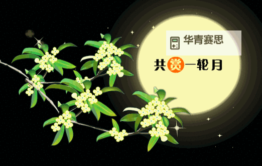 中秋佳节必备!2024最新中秋动态图片欣赏集锦图1