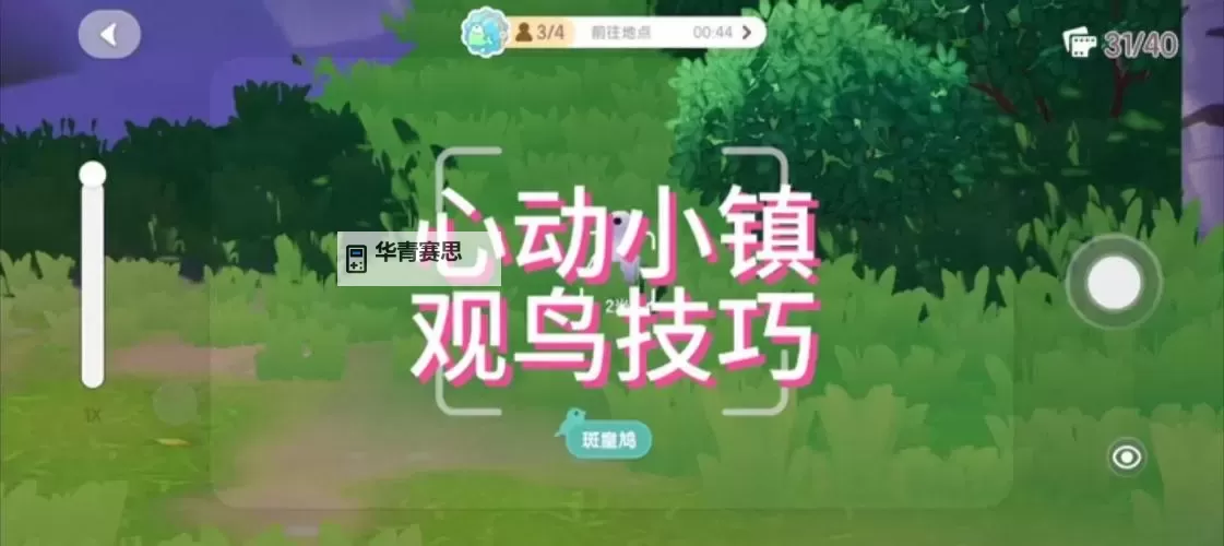《心动小镇》白顶玄燕鸥位置说明 白顶玄燕鸥在哪出现图1
