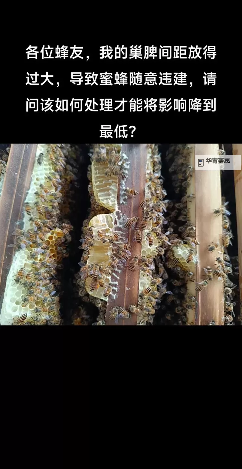 《饥荒》蜜蜂养殖图文教程 蜜蜂怎么养图1