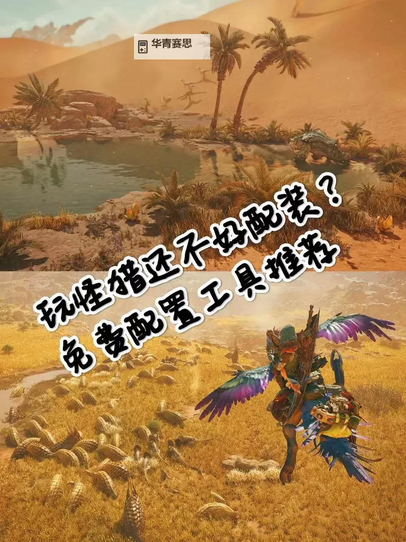 《怪物猎人荒野》高容错弓弱特5配装分享图1