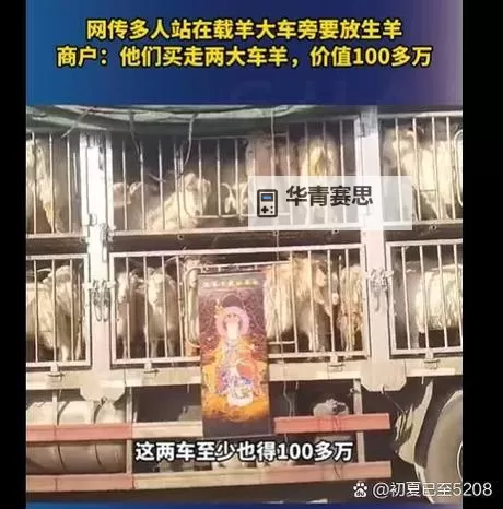 中年男女站在载羊货车旁要求放生引发善意呼唤图1