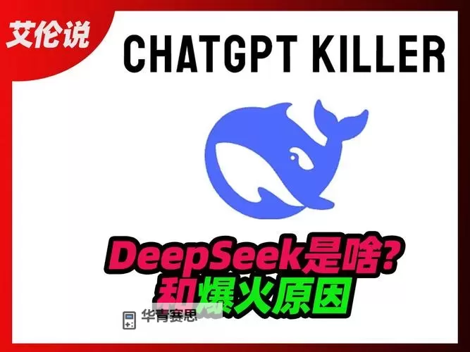 DeepSeek是什么 DeepSeek是什么意思图1