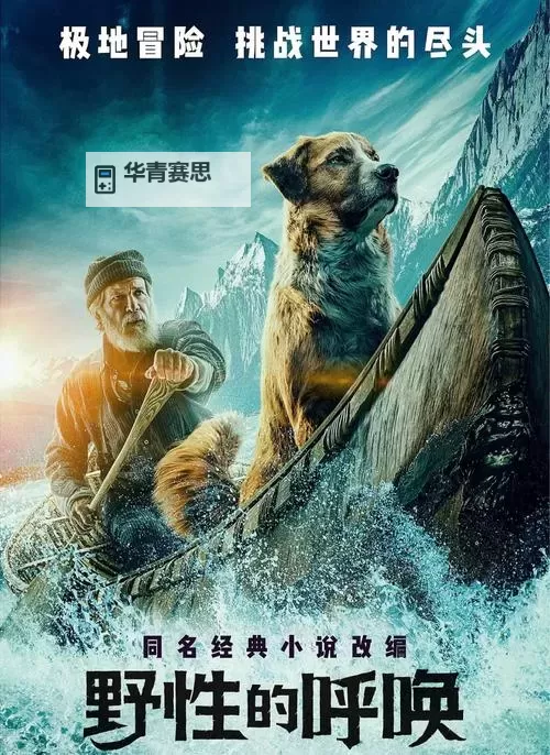 尽享都市热血：《野性首尔下载》全攻略与最新资源推荐图1