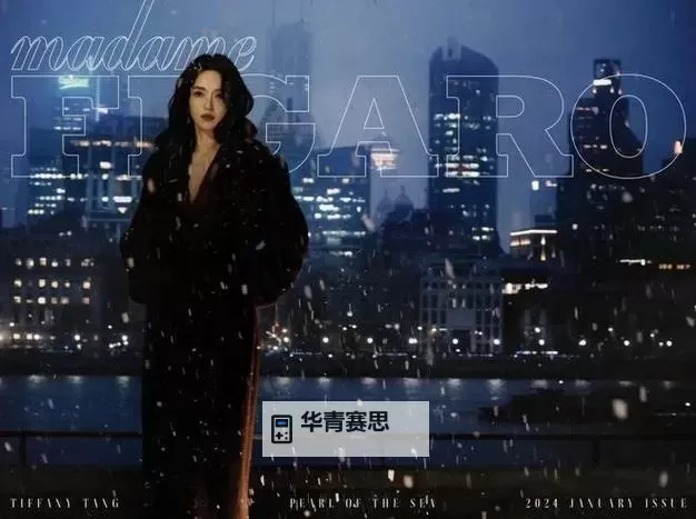 御姐很哀伤:坚强背后的破碎心灵图1