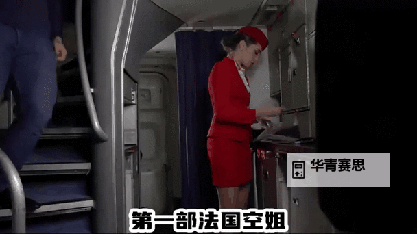 《空中小姐2023满天星法版在线观看》全网最新免费接口推荐图1