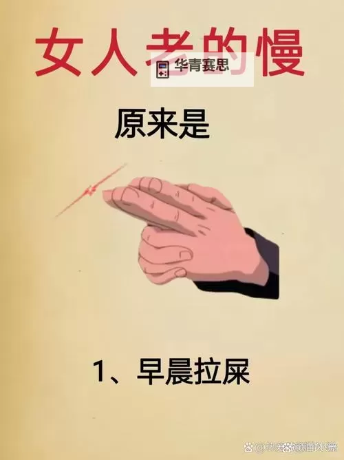 老婆别揉了尿了:温馨提醒与健康关怀图2