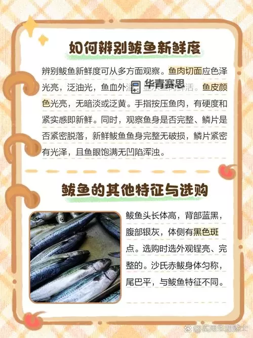 鲅鱼官网在线观看:畅享高清影视资源尽在指尖图1