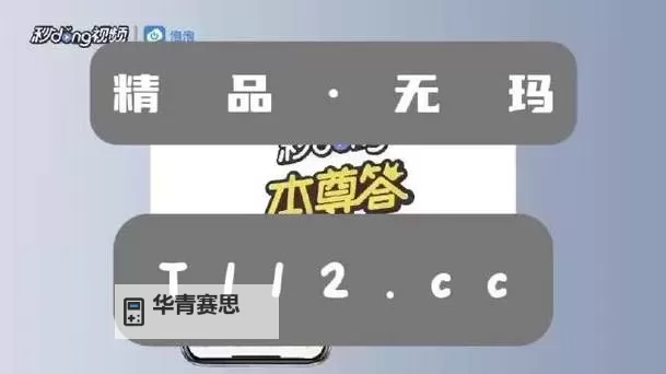 中字乱码一二三区别视频:揭秘网络中隐藏的神秘内容图1