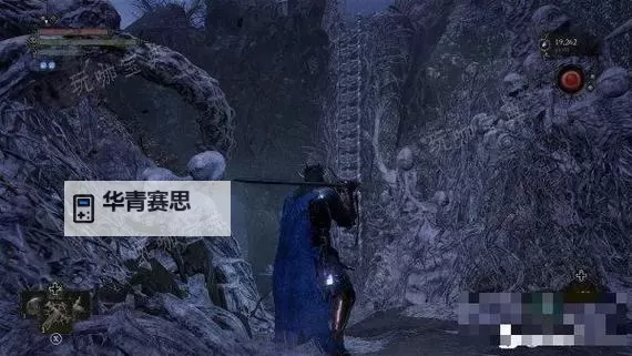 《堕落之主》高效刷魂与种子点位分享图2