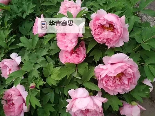 2023年最新推荐：最近好看的2019免费影视资源大全图1